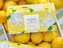 Tea Forte Hydrangea by Draper James Presentation Box